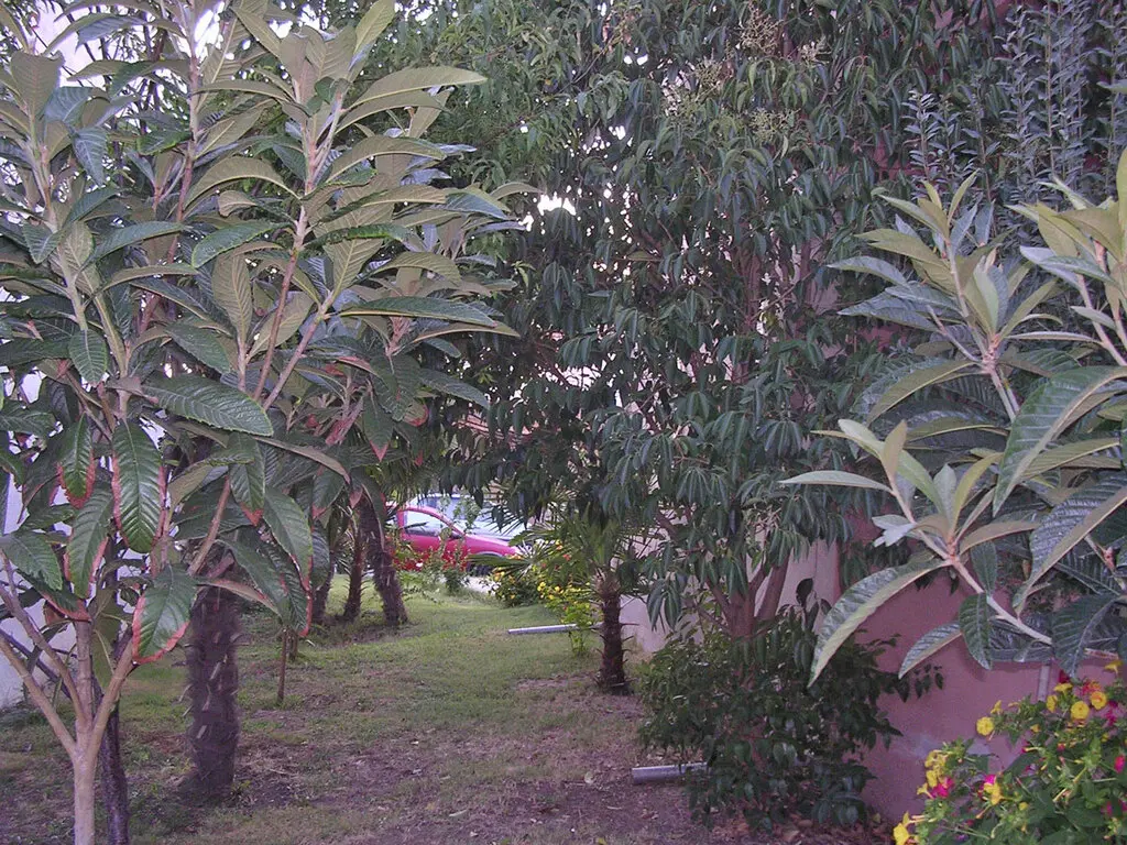 Detached House Of 240 M² On The Olympic Coast