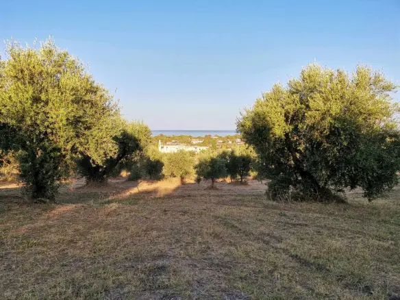 Land In Zacharo, Greece