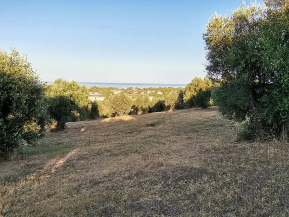 Land In Zacharo, Greece