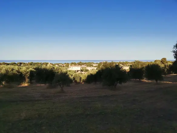 Land In Zacharo, Greece
