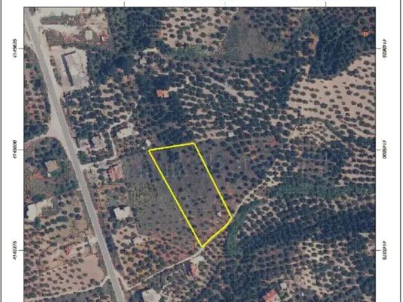 Land In Zacharo, Greece