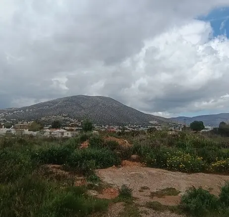 Land In Anavissos, Greece