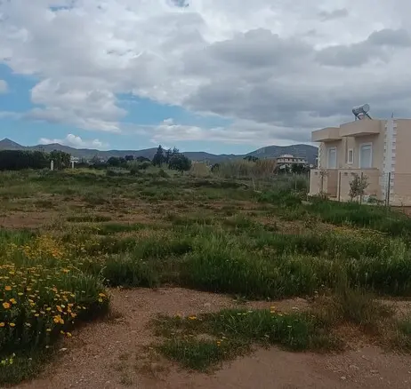 Land In Anavissos, Greece