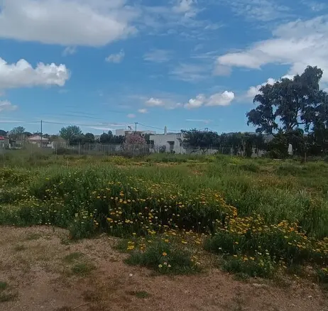 Land In Anavissos, Greece