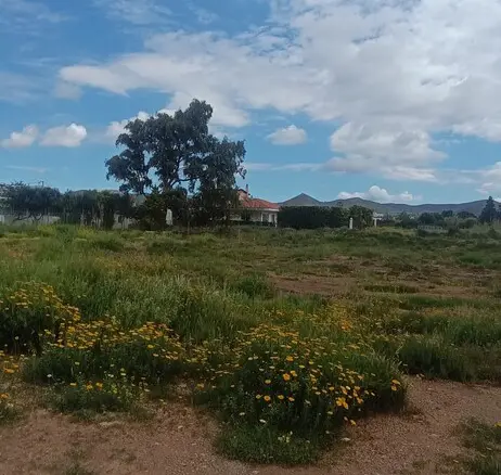 Land In Anavissos, Greece