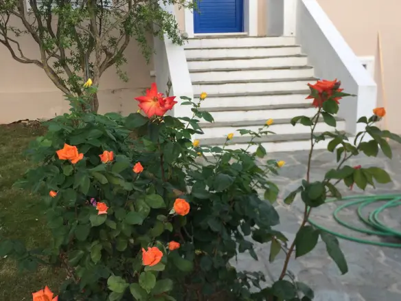 3-bedroom Detached House In Marathonas, Greece (151 M²)