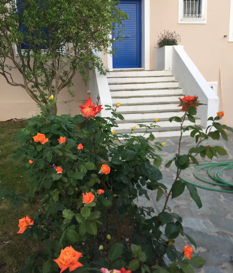 Detached House Of 151 M² In Athens