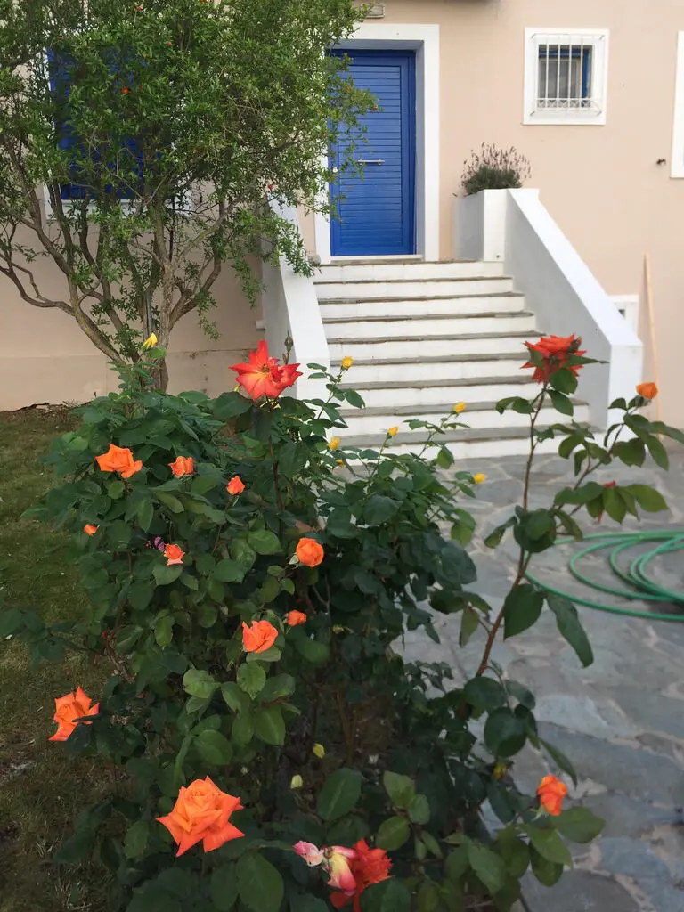 Detached House Of 151 M² In Athens