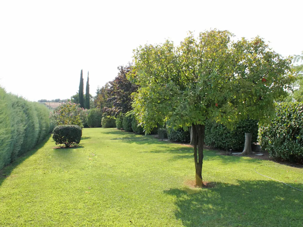 Villa Of 440 M² In Olympic Coast