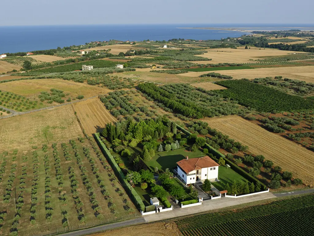 Villa Of 440 M² In Olympic Coast