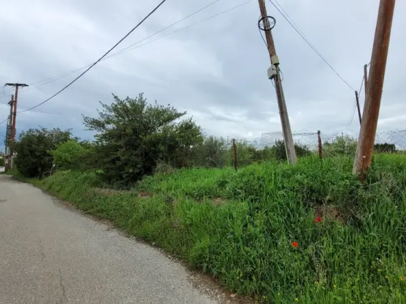 Land In Panorama, Greece
