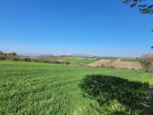 Land In Mikra, Greece
