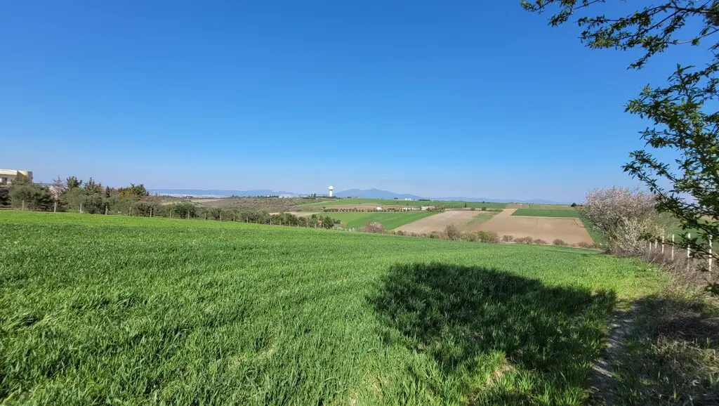 Land Of 7311 M² In The Suburbs Of Thessaloniki