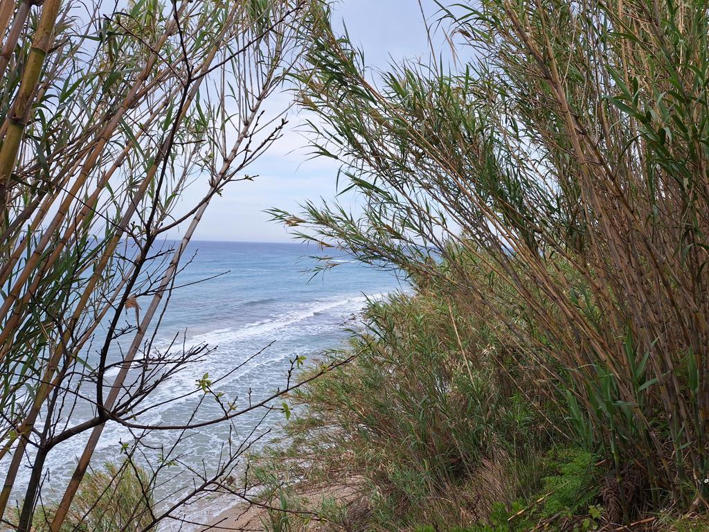 Land Of 4444 M² In Corfu