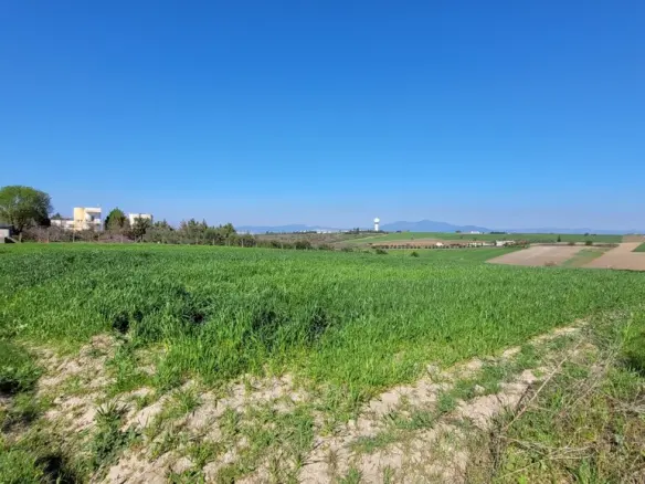 Land In Mikra, Greece