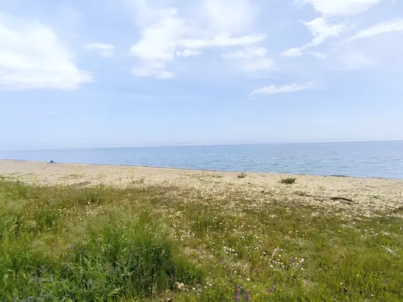 Land In Pidna, Greece