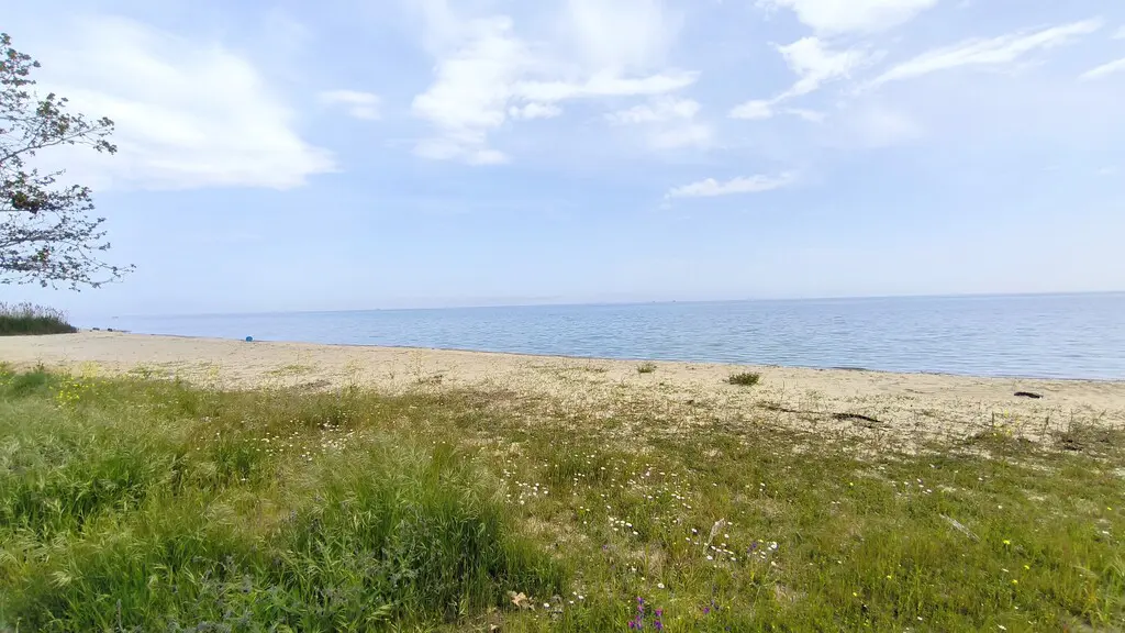 Land Of 2100 M² In Olympic Coast