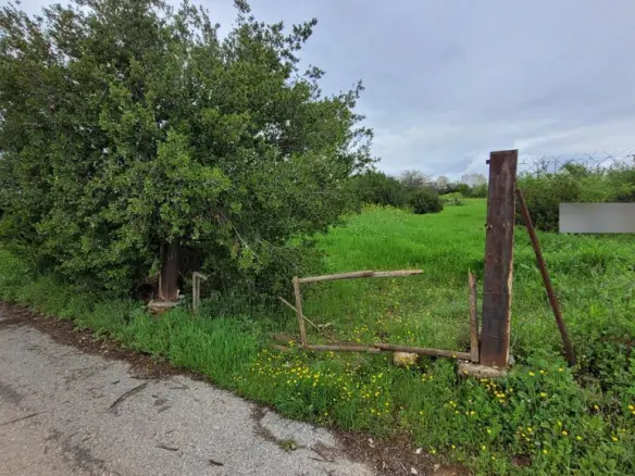 Land In Panorama, Greece