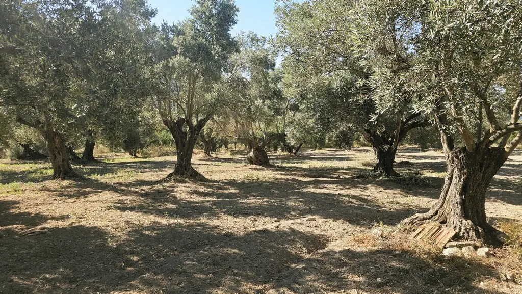 Detached House Of 49 M² In Crete
