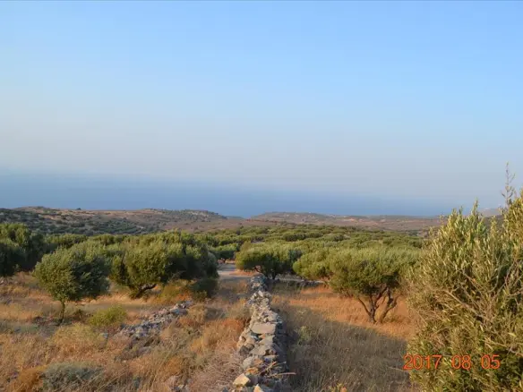 Land Of 15570 M² In Crete