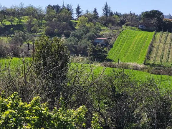 Land Of 4625 M² In The Suburbs Of Thessaloniki