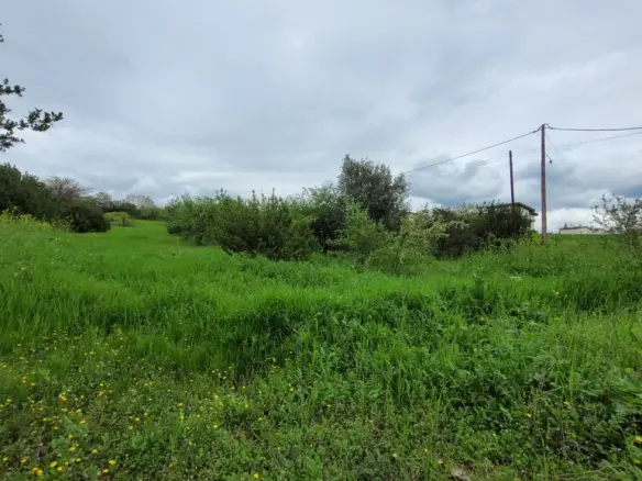 Land Of 4000 M² In The Suburbs Of Thessaloniki