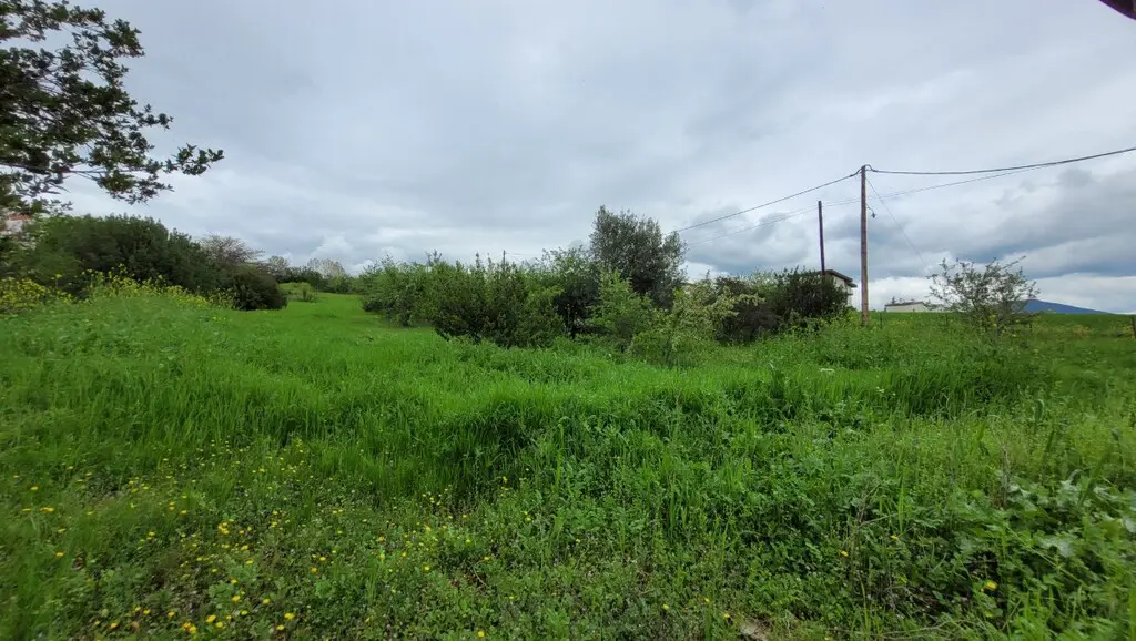 Land Of 4000 M² In The Suburbs Of Thessaloniki