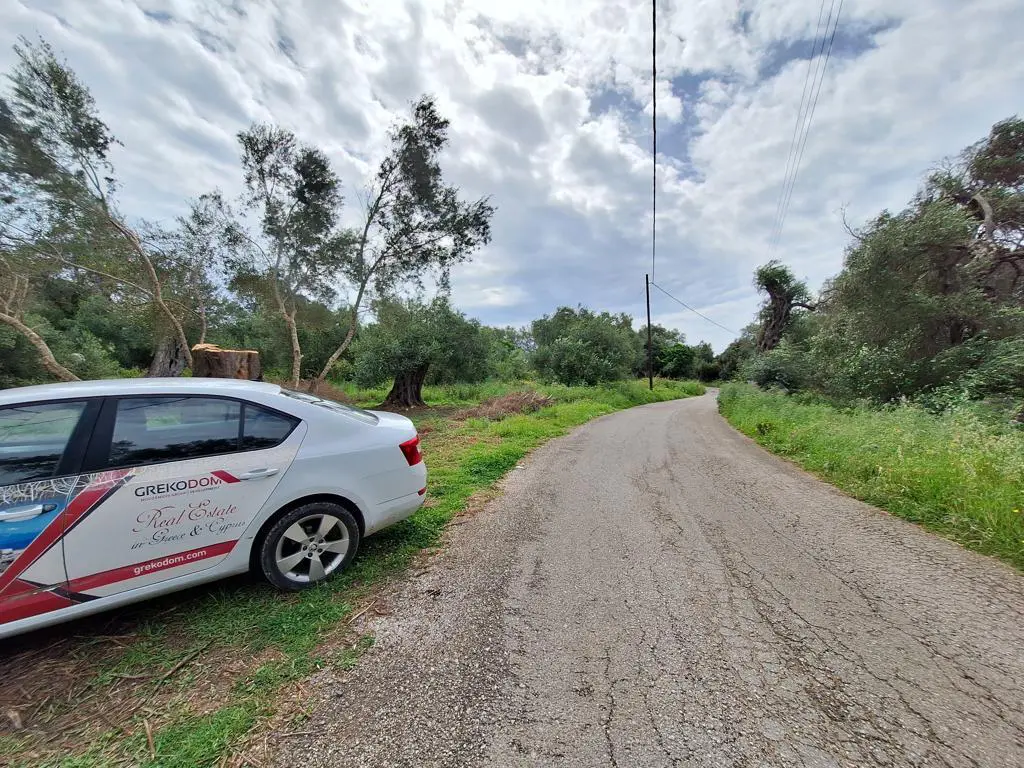 Land Of 7000 M² In Corfu