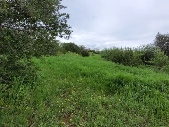 Land In Panorama, Greece