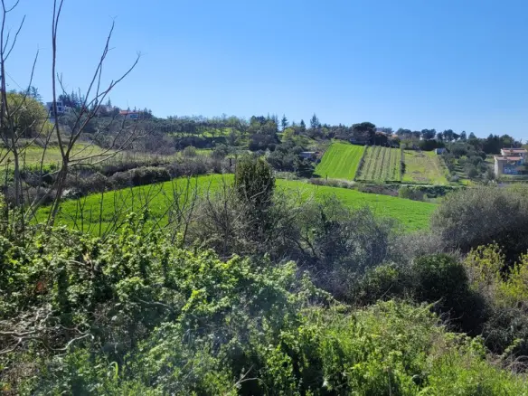 Land In Mikra, Greece