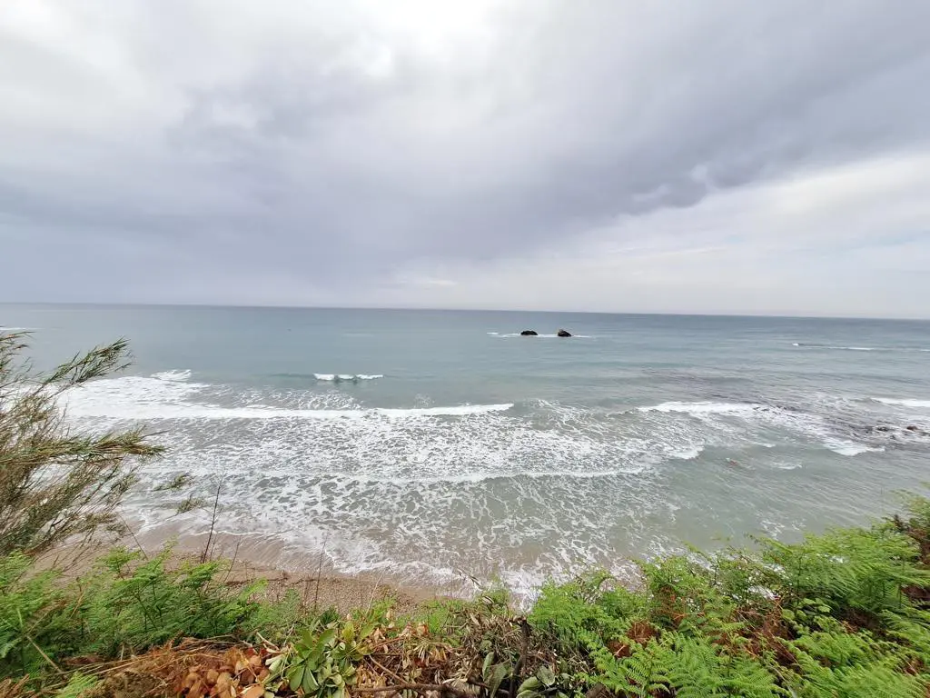 Land Of 4444 M² In Corfu