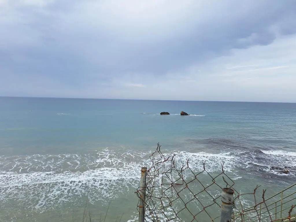 Land Of 4444 M² In Corfu
