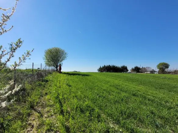 Land Of 7311 M² In The Suburbs Of Thessaloniki