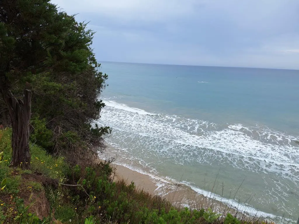 Land Of 4444 M² In Corfu