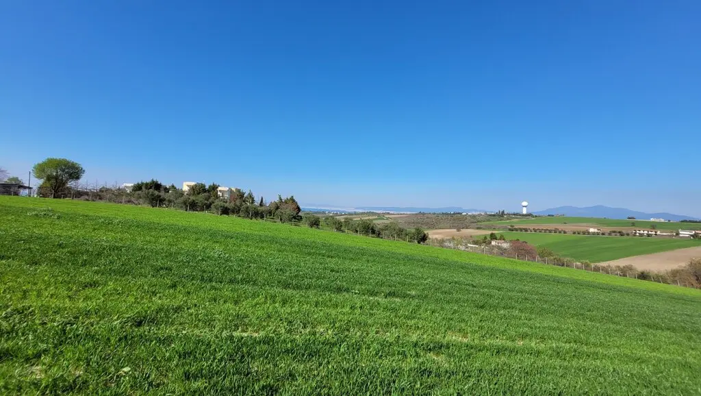 Land Of 7311 M² In The Suburbs Of Thessaloniki