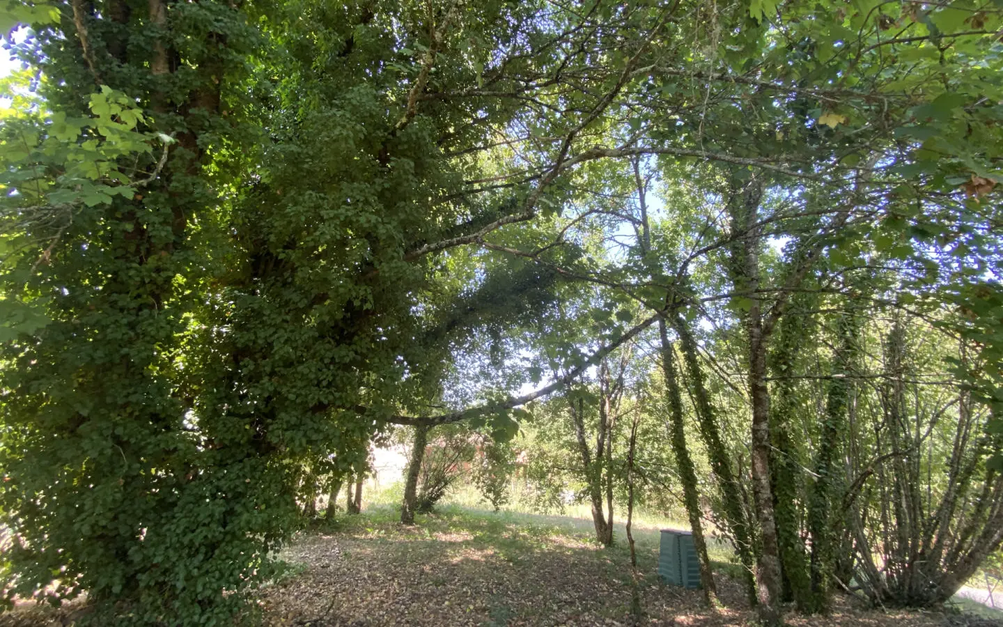 Three-bedroom Village House Of 120 M² With Garage And Garden In Saint-christophe-de-double