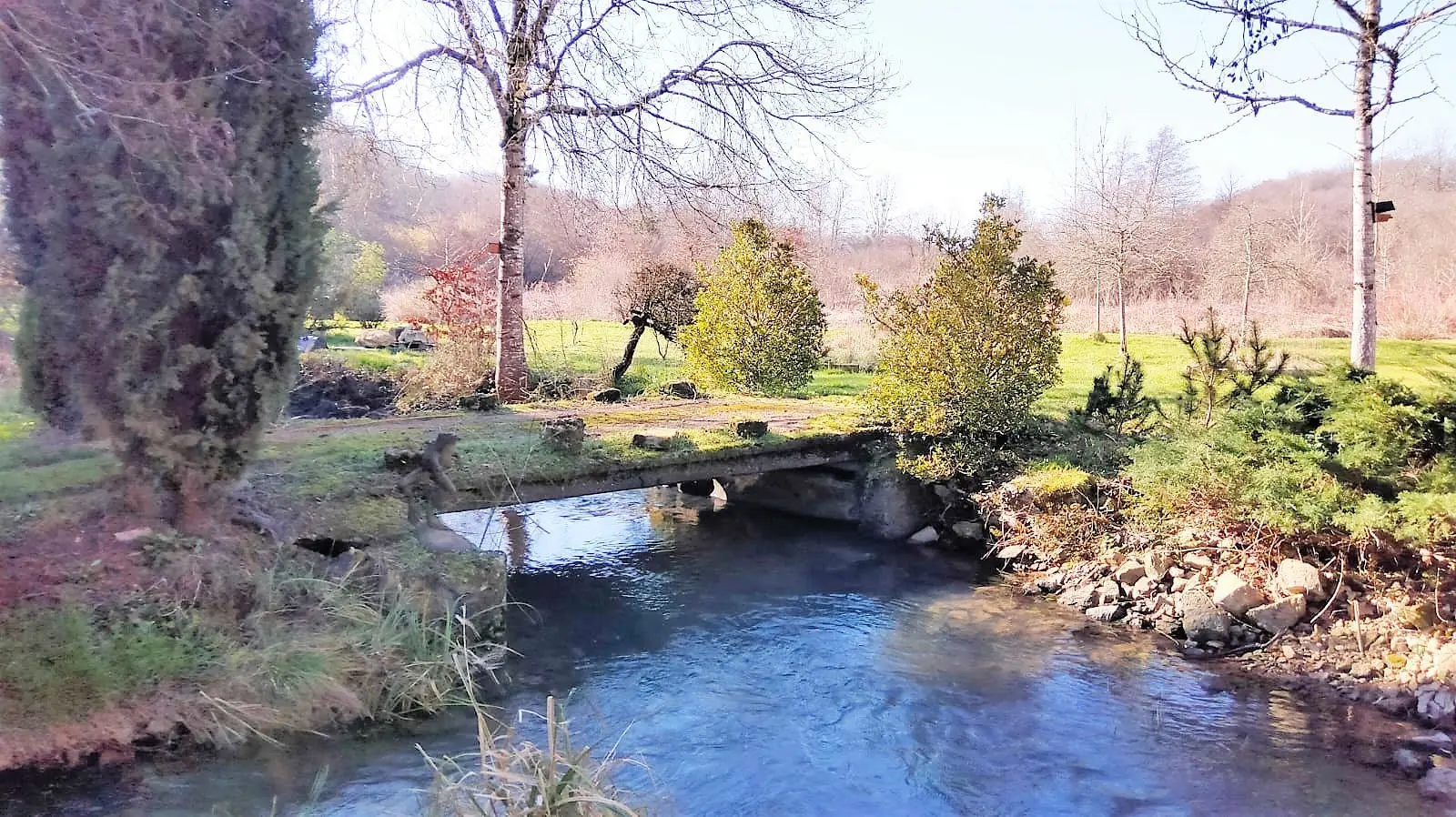 Watermill Of 80000 M² With Stream, Lake, Waterfall, Woodland, Guest House In Charente