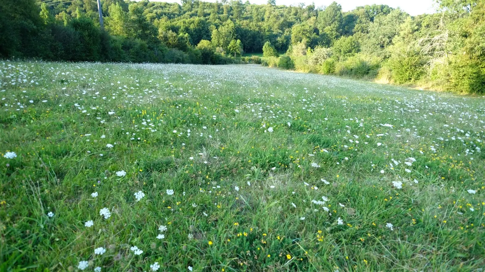 Watermill Of 80000 M² With Stream, Lake, Waterfall, Woodland, Guest House In Charente