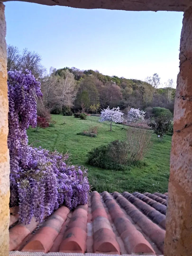 Watermill Of 80000 M² With Stream, Lake, Waterfall, Woodland, Guest House In Charente