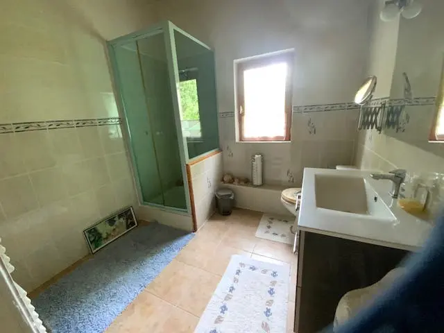 Куќа од 100 м² со 4 спални соби, покрај река, помошни згради, поглед во Старата мелница