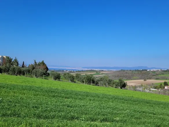Land In Mikra, Greece