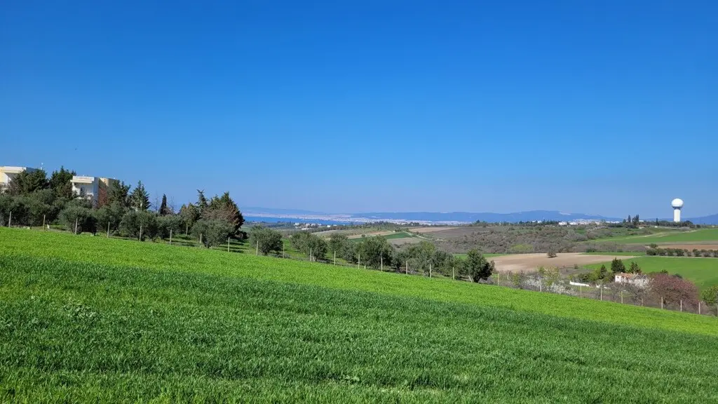 Land Of 7311 M² In The Suburbs Of Thessaloniki