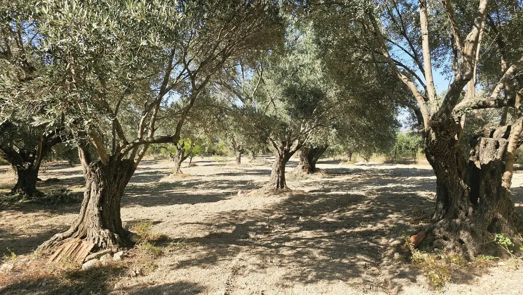 Detached House Of 49 M² In Crete