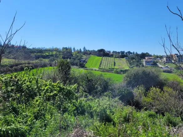 Land In Mikra, Greece