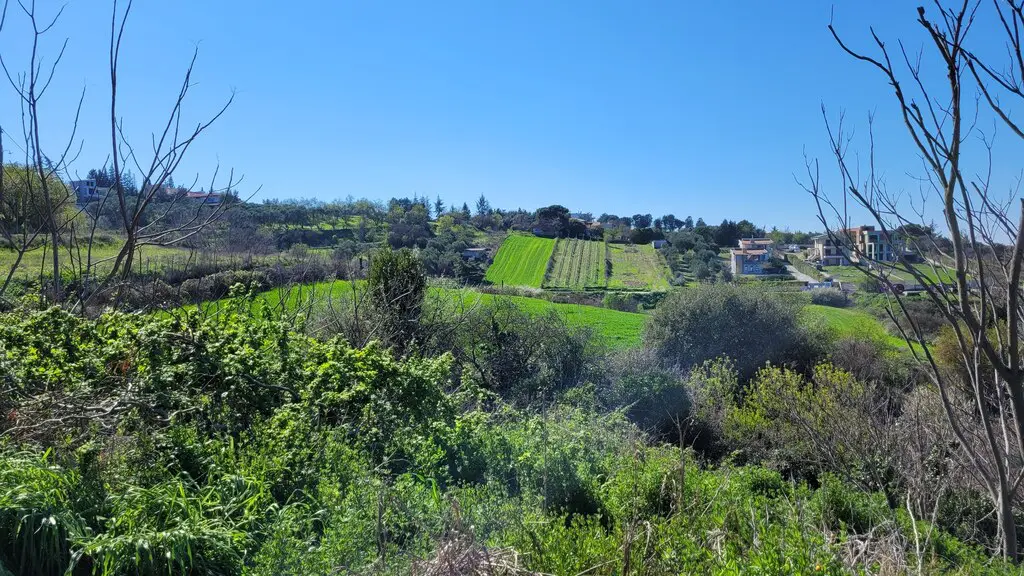 Land Of 4625 M² In The Suburbs Of Thessaloniki