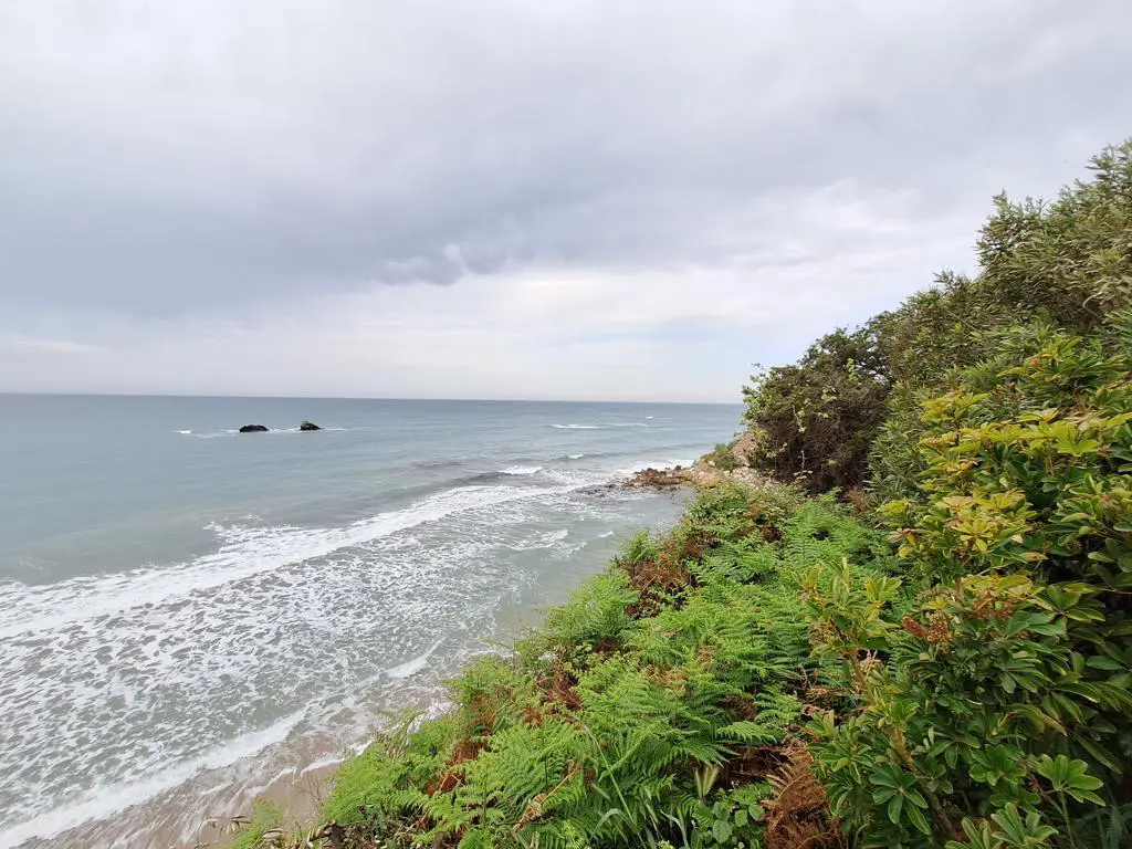 Land Of 4444 M² In Corfu
