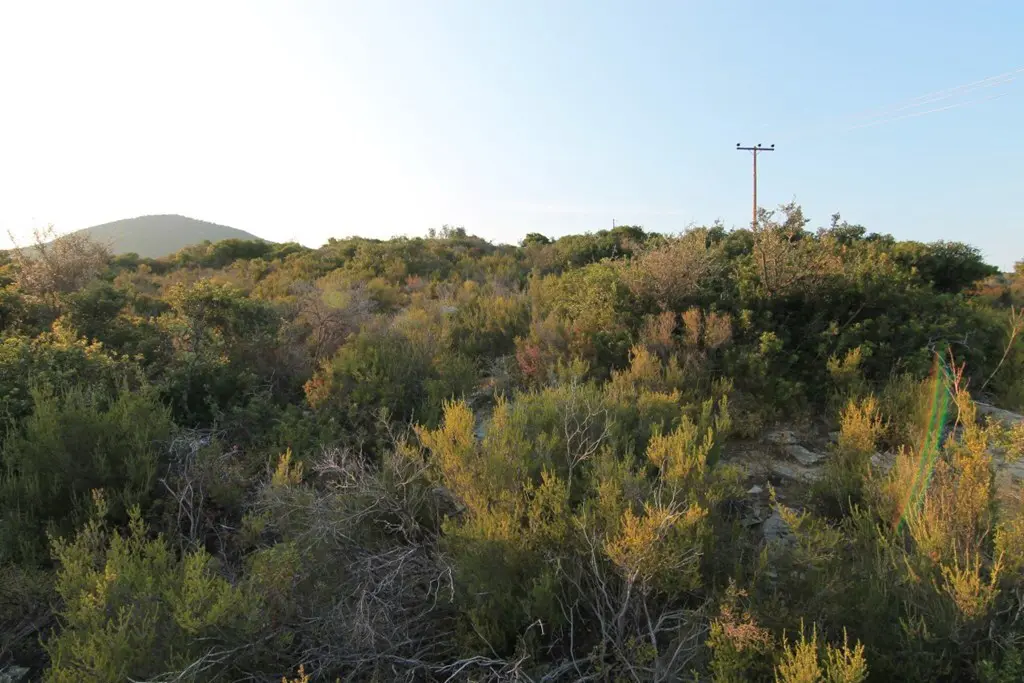Land Of 9500 M² In Athos, Chalkidiki