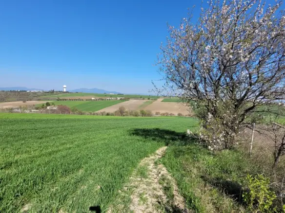 Land In Mikra, Greece
