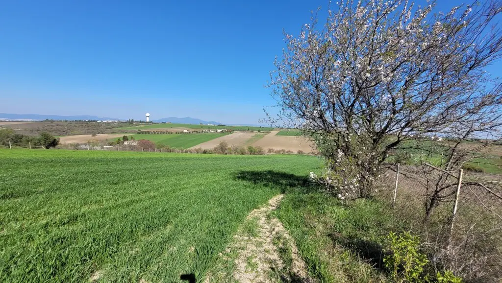 Land Of 7311 M² In The Suburbs Of Thessaloniki