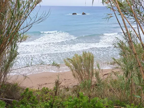 For Sale Land 4444 M² In Corfu